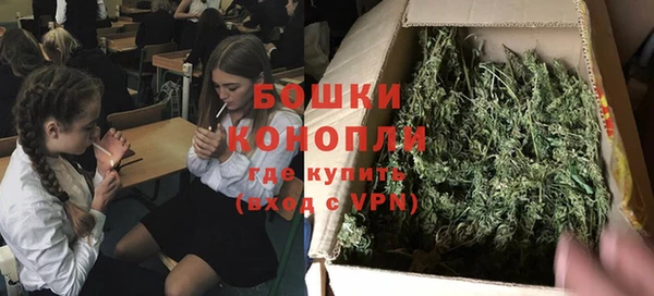 прущие крисы Арсеньев