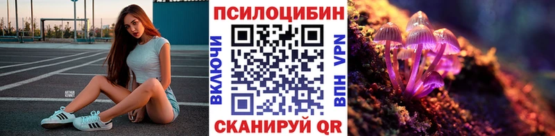 Галлюциногенные грибы Cubensis  МЕГА как зайти  Никольское  купить закладку 